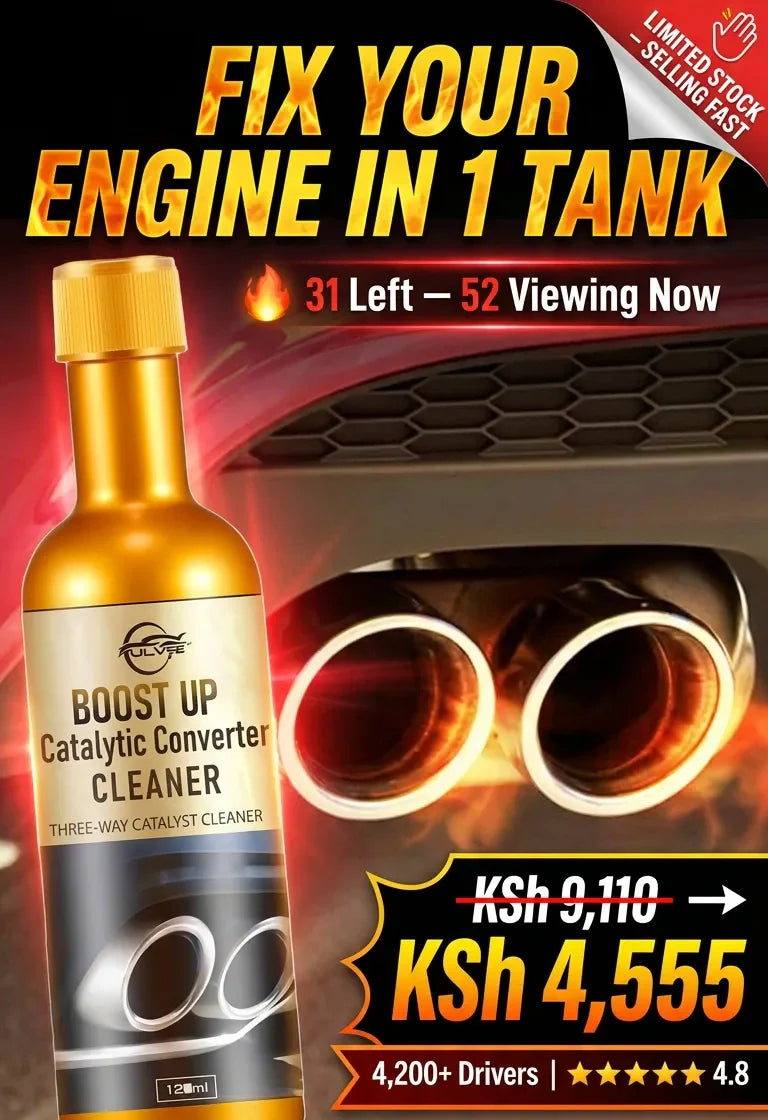 Catalytic converter cleaner